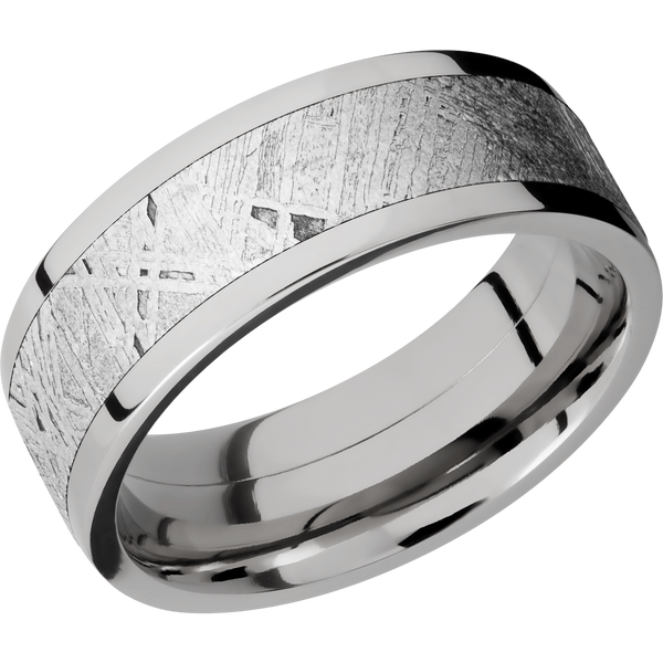 Titanium Men's Ring with Gibeon Meteorite All Rings Men's Wedding Band