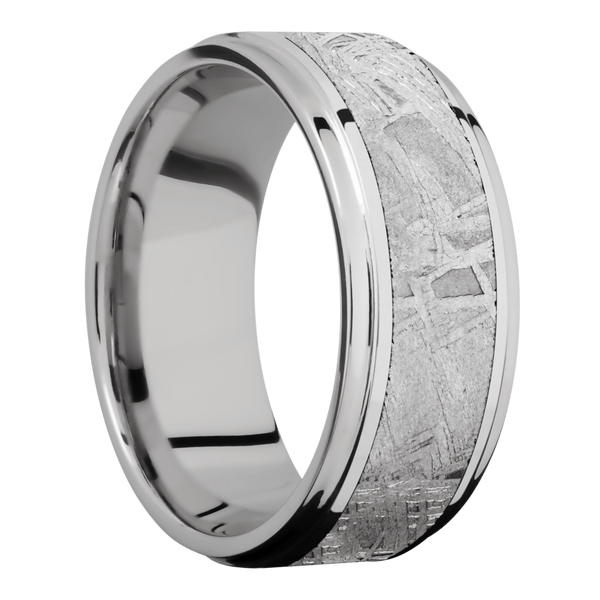 Cobalt Chrome Men's Ring with Gibeon Meteorite Cobalt Chrome Men's Wedding Band