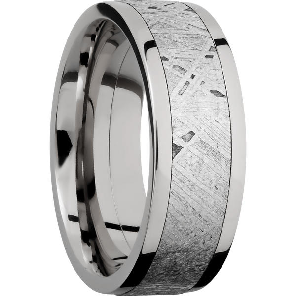 Titanium Men's Ring with Gibeon Meteorite All Rings Men's Wedding Band