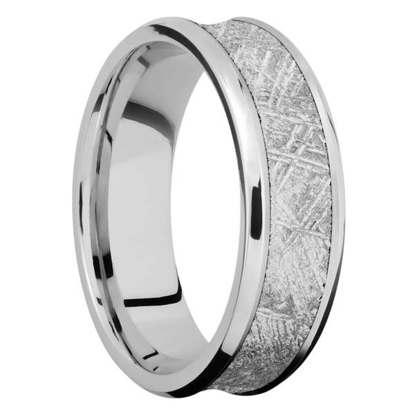 Cobalt Chrome Men's Ring with Gibeon Meteorite Cobalt Chrome Men's Wedding Band