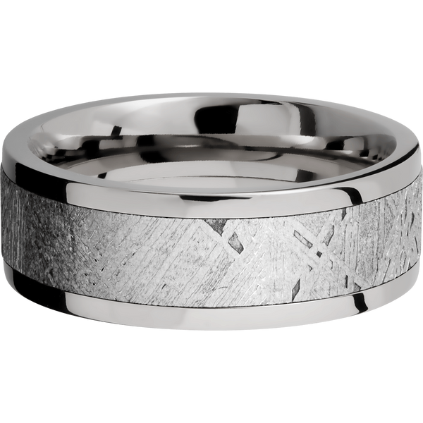 Titanium Men's Ring with Gibeon Meteorite All Rings Men's Wedding Band