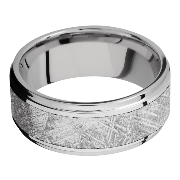 Cobalt Chrome Men's Ring with Gibeon Meteorite Cobalt Chrome Men's Wedding Band