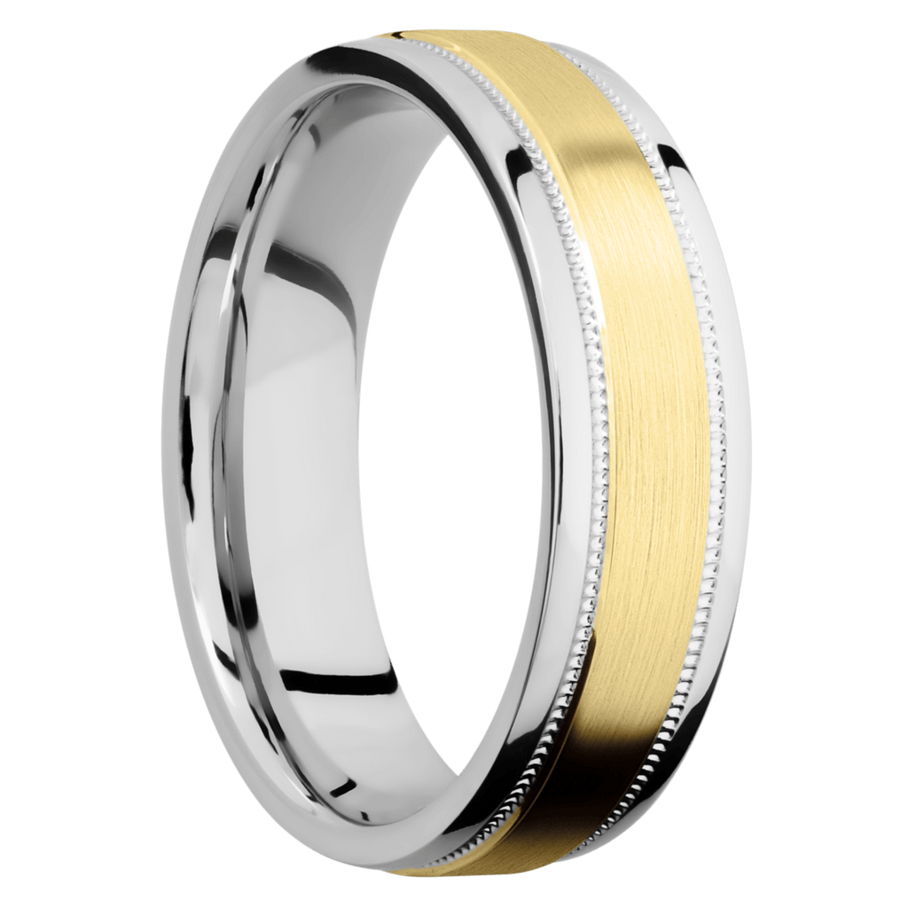 Cobalt Chrome Men's Ring with 14K Yellow Gold